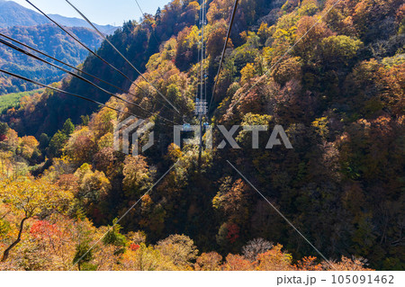 新潟湯沢町 絶景の空中散歩 紅葉の苗場ドラゴンドラ 新潟湯沢町 絶景の空中散歩 紅葉の苗場ドラゴンドラ 105091462