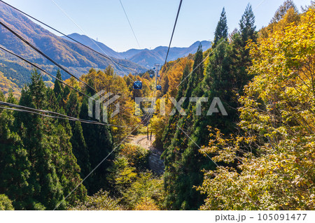 新潟湯沢町 絶景の空中散歩 紅葉の苗場ドラゴンドラ 新潟湯沢町 絶景の空中散歩 紅葉の苗場ドラゴンドラ 105091477