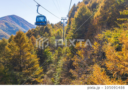 新潟湯沢町 絶景の空中散歩 紅葉の苗場ドラゴンドラ 新潟湯沢町 絶景の空中散歩 紅葉の苗場ドラゴンドラ 105091486