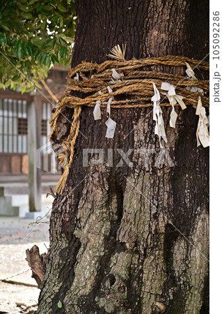 川口散歩：子日神社　子日会館　川口市新井宿 105092286