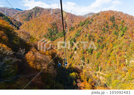 新潟湯沢町 絶景の空中散歩 紅葉の苗場ドラゴンドラ 新潟湯沢町 絶景の空中散歩 紅葉の苗場ドラゴンドラ 105092481