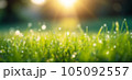 Beautiful blurred background of a green park at dawn. 105092557