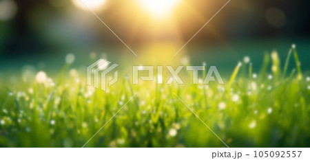 Beautiful blurred background of a green park at dawn. Beautiful blurred background of a green park at dawn. 105092557