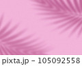 Shadow from palm leaves on a pink background. 105092558