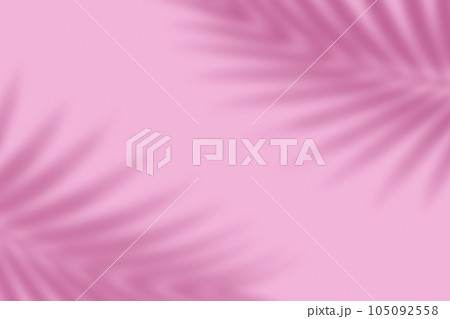 Shadow from palm leaves on a pink background. Shadow from palm leaves on a pink background. 105092558