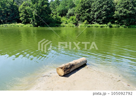 tree on the sandy shore of the lake tree on the sandy shore of the lake 105092792