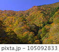 青空バックに映える紅葉 105092833