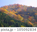 秋空と紅葉した山 105092834