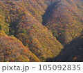 紅葉した山 105092835