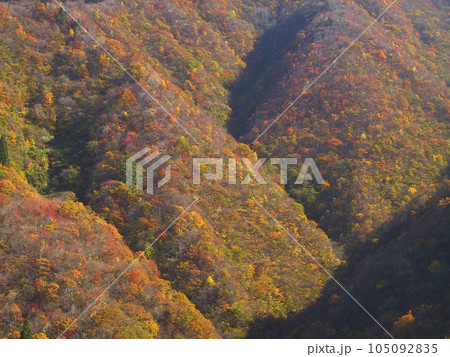 紅葉した山 105092835