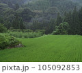 緑の中にある風景 105092853