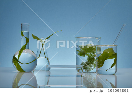 On the blue background, some glass flasks containing fresh seaweed leaves decorated with transparent podium. Empty space for display your product. Lab theme for advertising 105092891