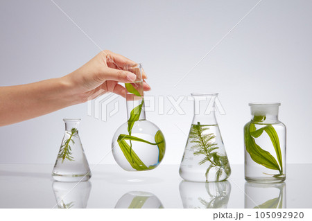 Laboratory flasks containing different samples of seaweed are placed on a backlit white background. The female hand is lifting a vase among them. Scene for advertising with minimal concept 105092920