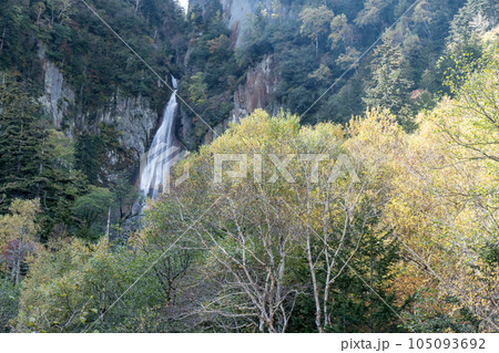 紅葉に包まれた流星の滝 105093692
