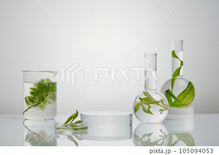Transparent podium placed in the middle of several laboratory glassware. Seaweed is loaded with vitamin E that also great for hydrating the skin. White background Transparent podium placed in the middle of several laboratory glassware. Seaweed is loaded with vitamin E that also great for hydrating the skin. White background 105094053