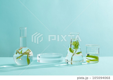 Transparent podium with blank space to display your product. Glassware of water and green seaweed are arranged. Concept of chemical, scientific experiment 105094068