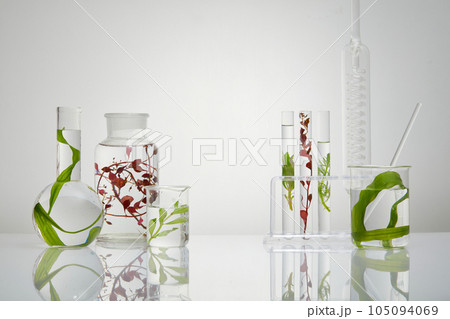Many laboratory glassware filled with different types of seaweed. You can use seaweed moisturizers and face masks to keep your skin hydrated 105094069