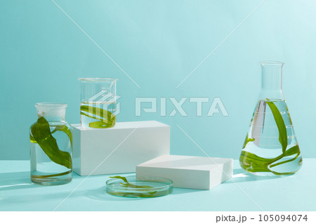 Against a blue background, transparent glassware of green seaweed arranged with rectangle podiums. Stage showcase on minimal podium display Against a blue background, transparent glassware of green seaweed arranged with rectangle podiums. Stage showcase on minimal podium display 105094074