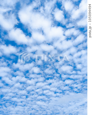 ひつじ雲（高積雲） 105094494