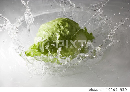 水にレタス 105094930