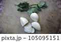 Fresh Garlic stock photo 105095151