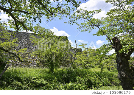 篠山城跡の石垣と堀 105096179
