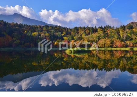 利尻島の秋 紅葉に包まれた姫沼 利尻島の秋 紅葉に包まれた姫沼 105096527