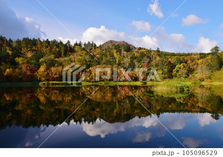 利尻島の秋 紅葉に包まれた姫沼 利尻島の秋 紅葉に包まれた姫沼 105096529
