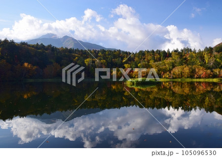 利尻島の秋 紅葉に包まれた姫沼 利尻島の秋 紅葉に包まれた姫沼 105096530