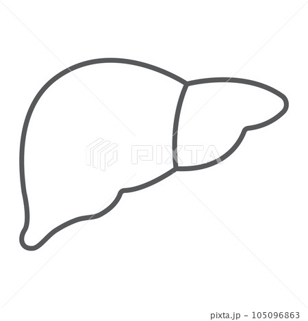 Liver thin line icon, anatomy biology, hepatology 105096863