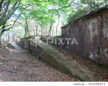 対馬・上見坂堡塁 砲座跡周囲 対馬・上見坂堡塁 砲座跡周囲 105096921