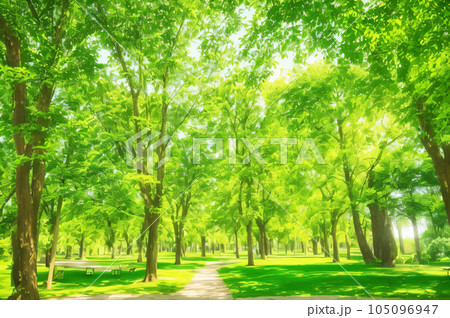 AI画像　並木道のイメージ 105096947