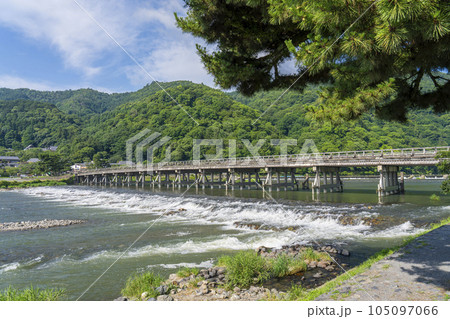 京都嵐山　新緑の渡月橋と桂川 105097066