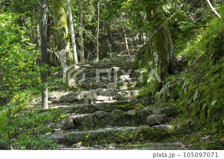嵐山公園亀山地区 展望台へ向かう石段の道 嵐山公園亀山地区 展望台へ向かう石段の道 105097071