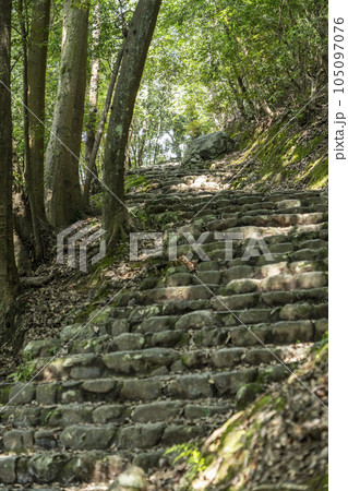 嵐山公園亀山地区　展望台へ向かう石段の道 105097076