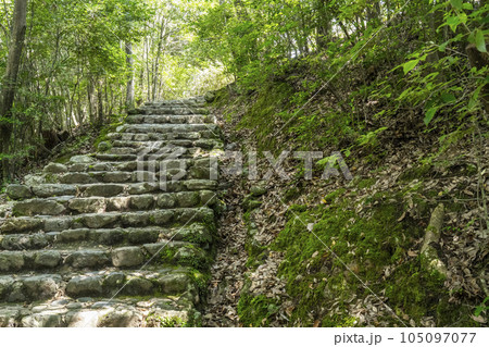 嵐山公園亀山地区　展望台へ向かう石段の道 105097077