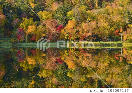 利尻島の秋 紅葉に包まれた姫沼 利尻島の秋 紅葉に包まれた姫沼 105097117