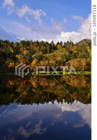 利尻島の秋 紅葉に包まれた姫沼 利尻島の秋 紅葉に包まれた姫沼 105097118