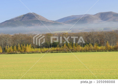 秋の朝霧の弟子屈風景 105098088