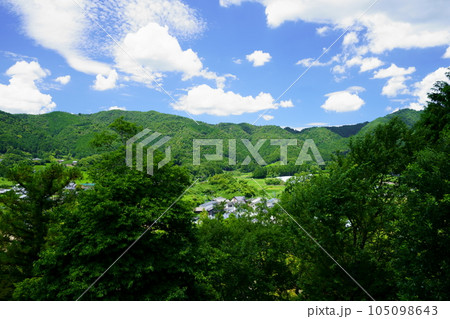 梅雨の晴れ間・爽やかな和束・天空カフェへの道 105098643