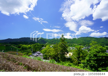 梅雨の晴れ間・爽やかな和束・和束荘を見下ろす 105098644