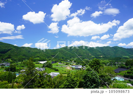 梅雨の晴れ間・爽やかな和束の茶畑 梅雨の晴れ間・爽やかな和束の茶畑 105098673