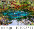 神の子池 105098744