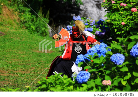 岩手県郷土芸能公演　紫陽花と鬼剣舞 105098788