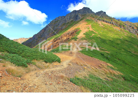 八ヶ岳連峰赤岳西斜面 105099225