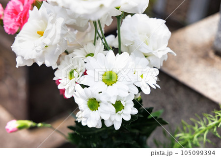 お墓にお供えされた綺麗な仏花 お墓にお供えされた綺麗な仏花 105099394