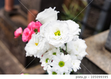お墓にお供えされた綺麗な仏花 105099395