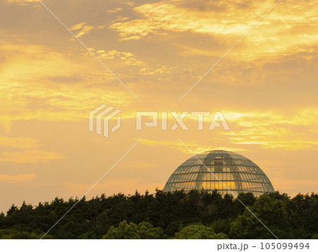 夏の夕景　葛西臨海公園　水族館が夕焼けに映える 105099494