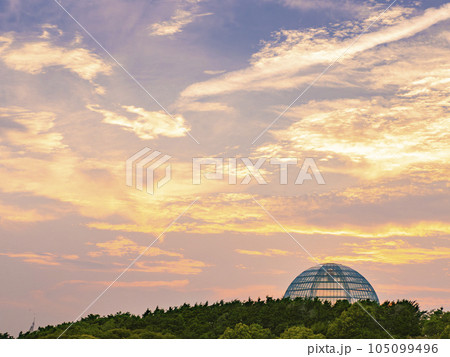 夏の夕景 葛西臨海公園 水族館が夕焼けに映える 夏の夕景 葛西臨海公園 水族館が夕焼けに映える 105099496