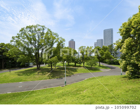 緑あふれる辰巳の森緑道公園　青空が気持ち良い 105099702